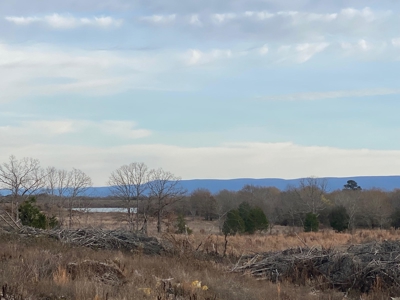 Land For Sale Mountain Views In Buffalo Valley - Talihina Ok - image 3