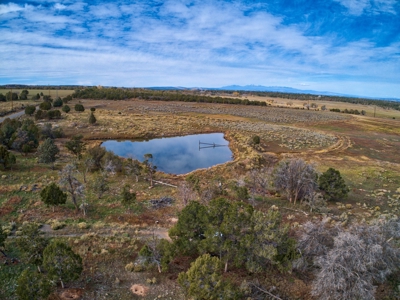 240 acres of Irrigated pasture close to Telluride, CO - image 2