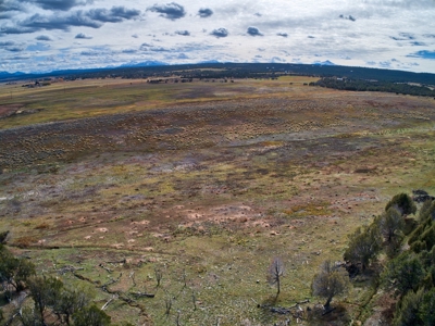 240 acres of Irrigated pasture close to Telluride, CO - image 7