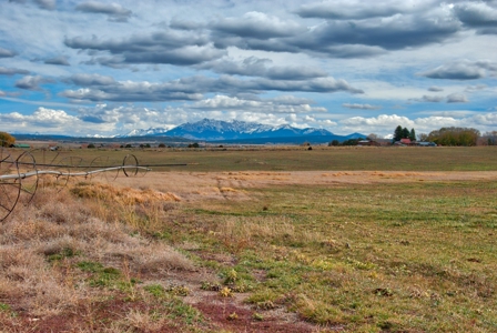 240 acres of Irrigated pasture close to Telluride, CO - image 18