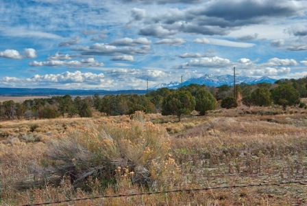 240 acres of Irrigated pasture close to Telluride, CO - image 13