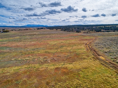 240 acres of Irrigated pasture close to Telluride, CO - image 10