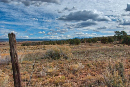 240 acres of Irrigated pasture close to Telluride, CO - image 12