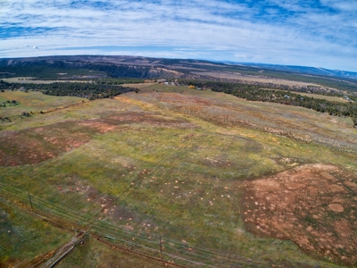 240 acres of Irrigated pasture close to Telluride, CO - image 6