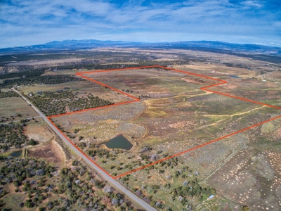 240 acres of Irrigated pasture close to Telluride, CO - image 5