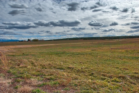 240 acres of Irrigated pasture close to Telluride, CO - image 20