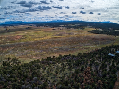 240 acres of Irrigated pasture close to Telluride, CO - image 9