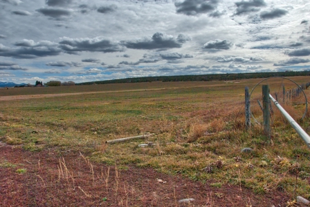 240 acres of Irrigated pasture close to Telluride, CO - image 17
