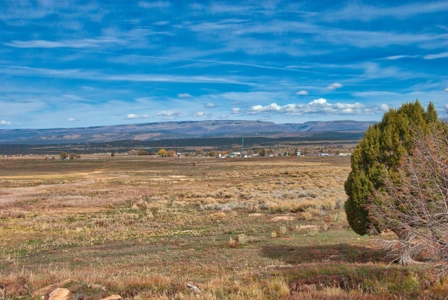 240 acres of Irrigated pasture close to Telluride, CO - image 11