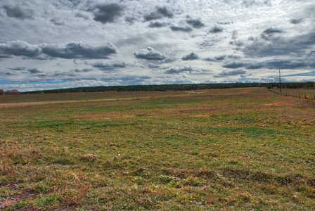 240 acres of Irrigated pasture close to Telluride, CO - image 19