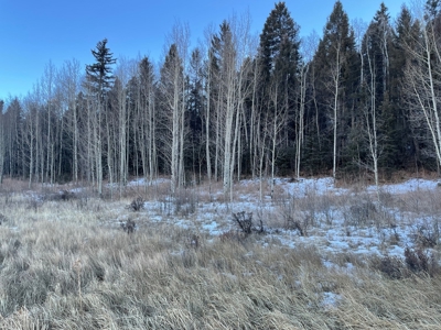 Colorado Mountain Property for Sale - image 6
