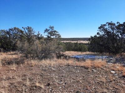 Beautiful Property - image 11