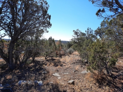Beautiful Property - image 10