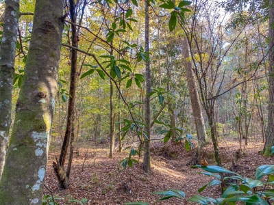 40 Acres Land for Sale Surrounded by National Forest SW MS 6 - image 27