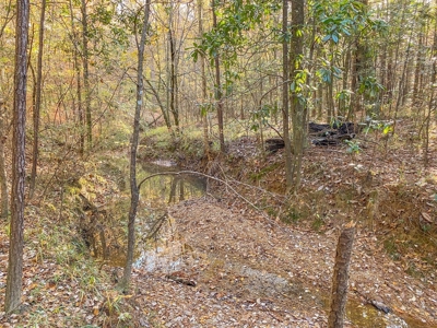 40 Acres Land for Sale Surrounded by National Forest SW MS 6 - image 25
