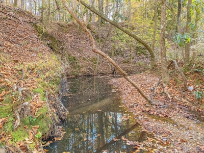40 Acres Land for Sale Surrounded by National Forest SW MS 6 - image 15