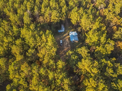 40 Acres Land for Sale Surrounded by National Forest SW MS 6 - image 31