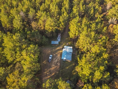 40 Acres Land for Sale Surrounded by National Forest SW MS 6 - image 1