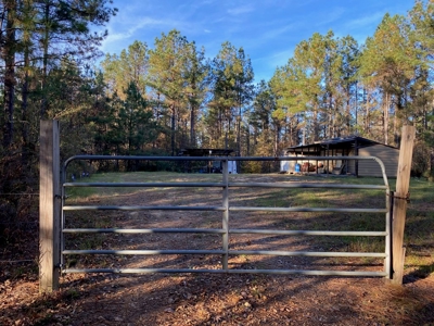 40 Acres Land for Sale Surrounded by National Forest SW MS 6 - image 38
