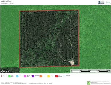 40 Acres Land for Sale Surrounded by National Forest SW MS 6 - image 41