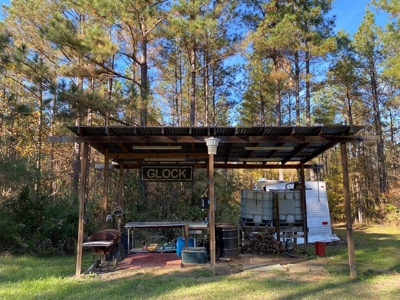 40 Acres Land for Sale Surrounded by National Forest SW MS 6 - image 3