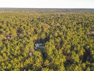 40 Acres Land for Sale Surrounded by National Forest SW MS 6 - image 33