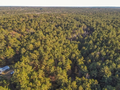 40 Acres Land for Sale Surrounded by National Forest SW MS 6 - image 34