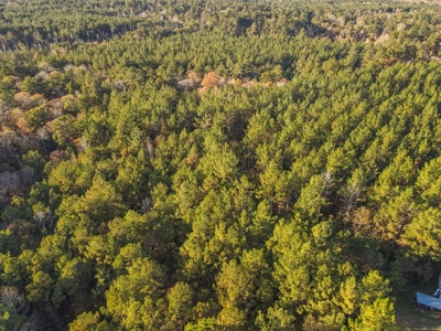 40 Acres Land for Sale Surrounded by National Forest SW MS 6 - image 30