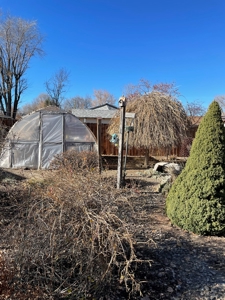 3 bed/1.5 bath 1084 sq.ft Clean home with Large back yard - image 13