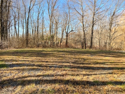 Storage Units for Sale at Auction in Floyd VA - image 9