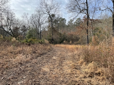 45 Minutes Ne Of Hochatown 2034 West K-Trail - image 17