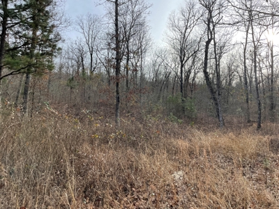 45 Minutes Ne Of Hochatown 2034 West K-Trail - image 24