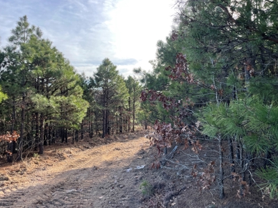 45 Minutes Ne Of Hochatown 2034 West K-Trail - image 35