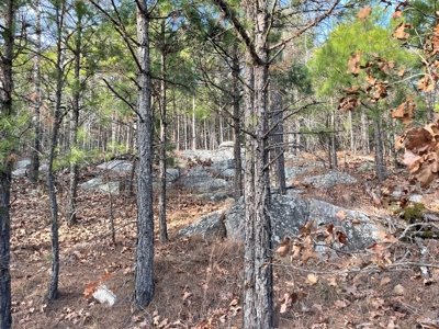 45 Minutes Ne Of Hochatown 2034 West K-Trail - image 36