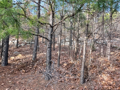 45 Minutes Ne Of Hochatown 2034 West K-Trail - image 37