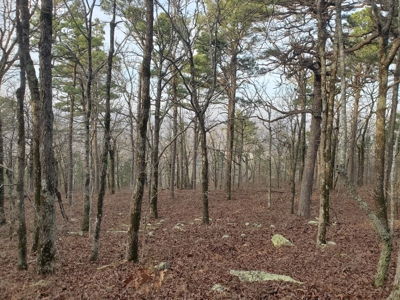 45 Minutes Ne Of Hochatown 2034 West K-Trail - image 8