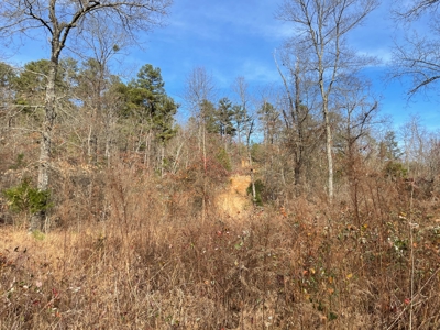 45 Minutes Ne Of Hochatown 2034 West K-Trail - image 21