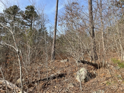 45 Minutes Ne Of Hochatown 2034 West K-Trail - image 15