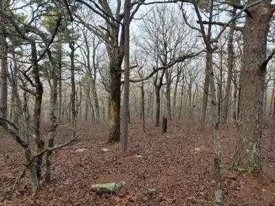 45 Minutes Ne Of Hochatown 2034 West K-Trail - image 10