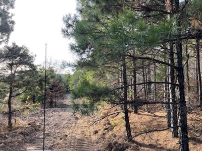 45 Minutes Ne Of Hochatown 2034 West K-Trail - image 38