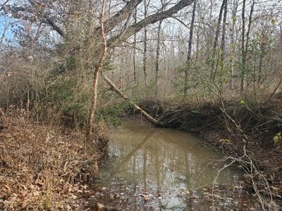 45 Minutes Ne Of Hochatown 2034 West K-Trail - image 2
