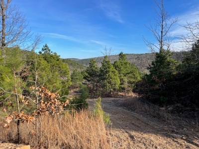 45 Minutes Ne Of Hochatown 2034 West K-Trail - image 34