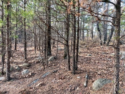 45 Minutes Ne Of Hochatown 2034 West K-Trail - image 31