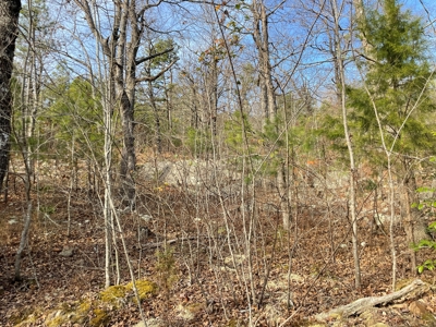 45 Minutes Ne Of Hochatown 2034 West K-Trail - image 12