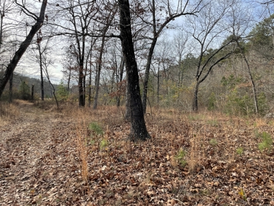 45 Minutes Ne Of Hochatown 2034 West K-Trail - image 23