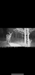 Bath County Kentucky Land for Sale - image 5