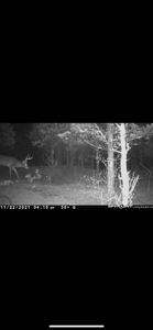 Bath County Kentucky Land for Sale - image 3
