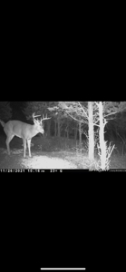 Bath County Kentucky Land for Sale - image 1