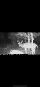 Bath County Kentucky Land for Sale - image 2