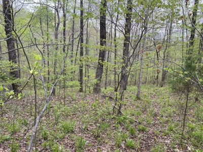 Golf Course Building Lot For Sale In Tn Keystone Resort - image 3
